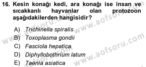 Gıda Güvenliğinin Temel Prensipleri Dersi 2023 - 2024 Yılı (Vize) Ara Sınav Soruları 16. Soru