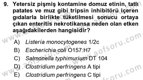 Gıda Güvenliğinin Temel Prensipleri Dersi 2023 - 2024 Yılı (Vize) Ara Sınav Soruları 9. Soru