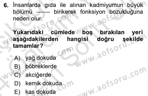 Gıda Güvenliğinin Temel Prensipleri Dersi 2023 - 2024 Yılı (Final) Dönem Sonu Sınav Soruları 6. Soru