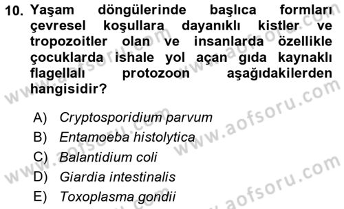 Gıda Güvenliğinin Temel Prensipleri Dersi 2023 - 2024 Yılı Yaz Okulu Sınav Soruları 10. Soru