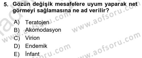 Gıda Güvenliğinin Temel Prensipleri Dersi 2023 - 2024 Yılı Yaz Okulu Sınav Soruları 5. Soru