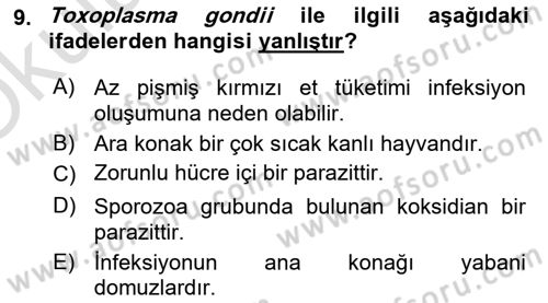 Gıda Güvenliğinin Temel Prensipleri Dersi 2023 - 2024 Yılı Yaz Okulu Sınav Soruları 9. Soru