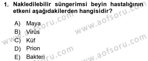 Gıda Güvenliğinin Temel Prensipleri Dersi 2024 - 2025 Yılı (Vize) Ara Sınav Soruları 1. Soru