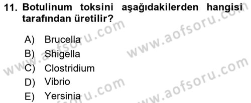 Gıda Güvenliğinin Temel Prensipleri Dersi 2024 - 2025 Yılı (Vize) Ara Sınav Soruları 11. Soru