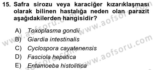 Gıda Güvenliğinin Temel Prensipleri Dersi 2024 - 2025 Yılı (Vize) Ara Sınav Soruları 15. Soru