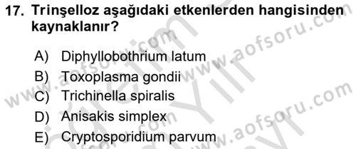 Gıda Güvenliğinin Temel Prensipleri Dersi 2024 - 2025 Yılı (Vize) Ara Sınav Soruları 17. Soru