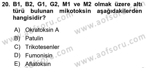 Gıda Güvenliğinin Temel Prensipleri Dersi 2024 - 2025 Yılı (Vize) Ara Sınav Soruları 20. Soru