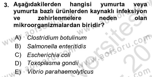 Gıda Güvenliğinin Temel Prensipleri Dersi 2024 - 2025 Yılı (Vize) Ara Sınav Soruları 3. Soru