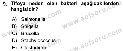 Gıda Güvenliğinin Temel Prensipleri Dersi 2024 - 2025 Yılı (Vize) Ara Sınav Soruları 9. Soru
