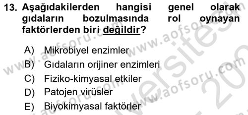 Gıda Güvenliğinin Temel Prensipleri Dersi 2024 - 2025 Yılı (Final) Dönem Sonu Sınav Soruları 13. Soru