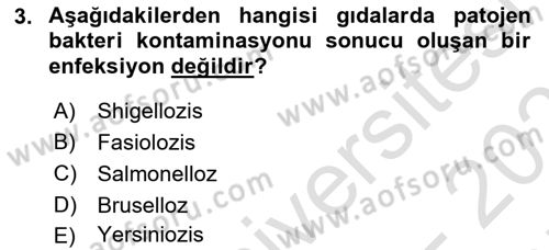 Gıda Güvenliğinin Temel Prensipleri Dersi 2024 - 2025 Yılı (Final) Dönem Sonu Sınav Soruları 3. Soru