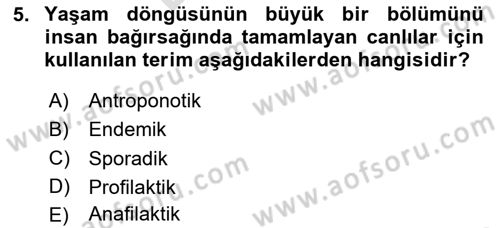 Gıda Güvenliğinin Temel Prensipleri Dersi 2024 - 2025 Yılı (Final) Dönem Sonu Sınav Soruları 5. Soru