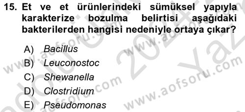 Gıda Güvenliğinin Temel Prensipleri Dersi 2024 - 2025 Yılı Yaz Okulu Sınav Soruları 15. Soru