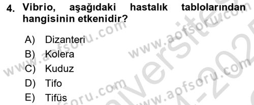 Gıda Güvenliğinin Temel Prensipleri Dersi 2024 - 2025 Yılı Yaz Okulu Sınav Soruları 4. Soru
