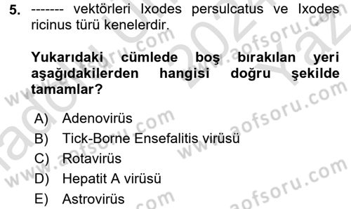 Gıda Güvenliğinin Temel Prensipleri Dersi 2024 - 2025 Yılı Yaz Okulu Sınav Soruları 5. Soru