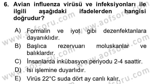 Gıda Güvenliğinin Temel Prensipleri Dersi 2024 - 2025 Yılı Yaz Okulu Sınav Soruları 6. Soru