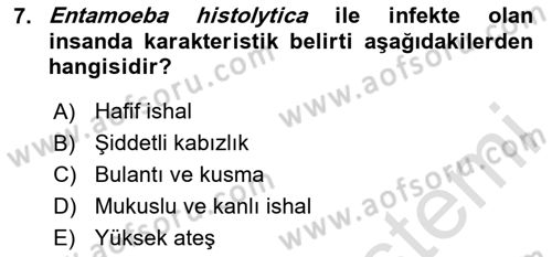 Gıda Güvenliğinin Temel Prensipleri Dersi 2024 - 2025 Yılı Yaz Okulu Sınav Soruları 7. Soru