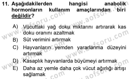 Gıda Güvenliğinin Temel Prensipleri Dersi 2025 - 2026 Yılı Yaz Okulu Sınav Soruları 11. Soru