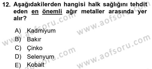 Gıda Güvenliğinin Temel Prensipleri Dersi 2025 - 2026 Yılı Yaz Okulu Sınav Soruları 12. Soru
