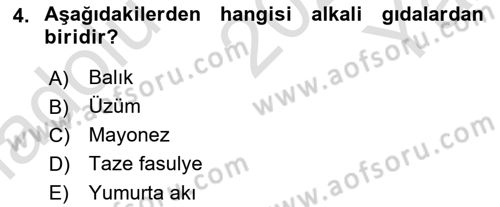 Gıda Güvenliğinin Temel Prensipleri Dersi 2025 - 2026 Yılı Yaz Okulu Sınav Soruları 4. Soru