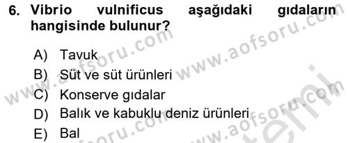 Gıda Güvenliğinin Temel Prensipleri Dersi 2025 - 2026 Yılı Yaz Okulu Sınav Soruları 6. Soru