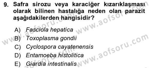 Gıda Güvenliğinin Temel Prensipleri Dersi 2025 - 2026 Yılı Yaz Okulu Sınav Soruları 9. Soru