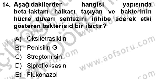 Temel İlaç Bilgisi Ve Akılcı İlaç Kullanımı Dersi 2016 - 2017 Yılı (Vize) Ara Sınav Soruları 14. Soru