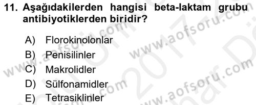 Temel İlaç Bilgisi Ve Akılcı İlaç Kullanımı Dersi 2017 - 2018 Yılı (Vize) Ara Sınav Soruları 11. Soru