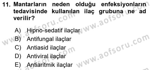 Temel İlaç Bilgisi Ve Akılcı İlaç Kullanımı Dersi Ara Sınavı Deneme Sınav Soruları 11. Soru