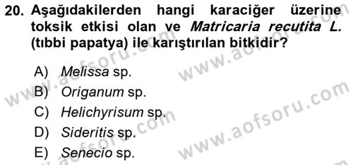 Temel İlaç Bilgisi Ve Akılcı İlaç Kullanımı Dersi 2018 - 2019 Yılı (Final) Dönem Sonu Sınav Soruları 20. Soru