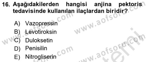 Temel İlaç Bilgisi Ve Akılcı İlaç Kullanımı Dersi 2025 - 2026 Yılı (Vize) Ara Sınav Soruları 16. Soru