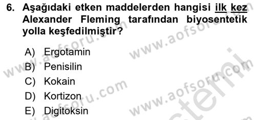 Temel İlaç Bilgisi Ve Akılcı İlaç Kullanımı Dersi 2025 - 2026 Yılı (Vize) Ara Sınav Soruları 6. Soru