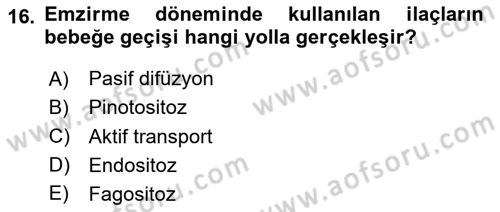 Temel İlaç Bilgisi Ve Akılcı İlaç Kullanımı Dersi 2025 - 2026 Yılı (Final) Dönem Sonu Sınav Soruları 16. Soru