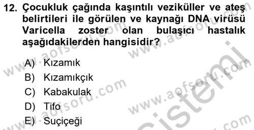 Halk Sağlığı Dersi 2016 - 2017 Yılı (Vize) Ara Sınav Soruları 12. Soru