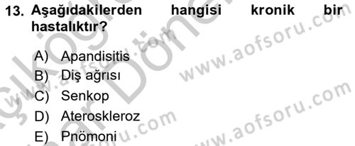 Halk Sağlığı Dersi 2016 - 2017 Yılı (Vize) Ara Sınav Soruları 13. Soru