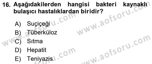 Halk Sağlığı Dersi 2016 - 2017 Yılı (Vize) Ara Sınav Soruları 16. Soru