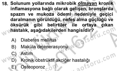 Halk Sağlığı Dersi 2016 - 2017 Yılı (Vize) Ara Sınav Soruları 18. Soru