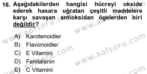 Halk Sağlığı Dersi 2016 - 2017 Yılı (Final) Dönem Sonu Sınav Soruları 16. Soru