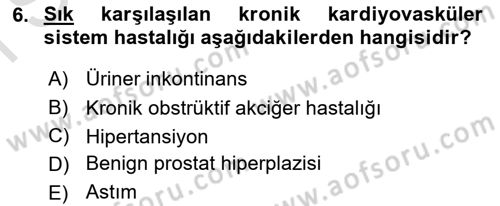 Halk Sağlığı Dersi 2016 - 2017 Yılı (Final) Dönem Sonu Sınav Soruları 6. Soru