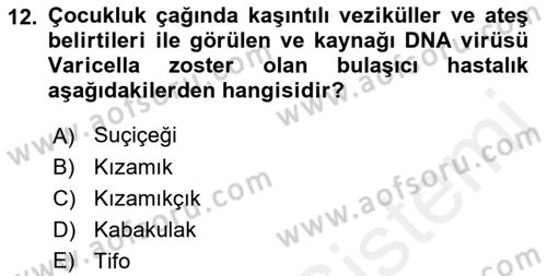 Halk Sağlığı Dersi 2017 - 2018 Yılı (Vize) Ara Sınav Soruları 12. Soru