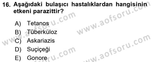 Halk Sağlığı Dersi 2017 - 2018 Yılı (Vize) Ara Sınav Soruları 16. Soru