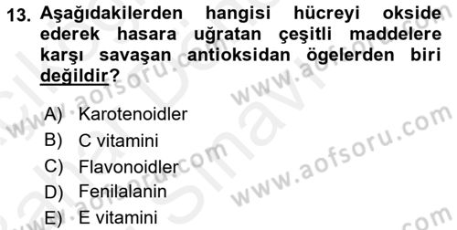 Halk Sağlığı Dersi 2017 - 2018 Yılı (Final) Dönem Sonu Sınav Soruları 13. Soru