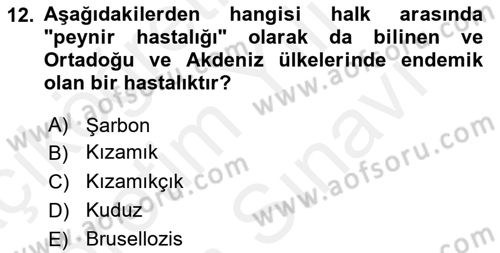 Halk Sağlığı Dersi 2018 - 2019 Yılı (Vize) Ara Sınav Soruları 12. Soru