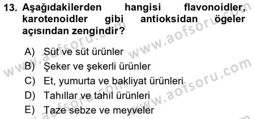 Halk Sağlığı Dersi 2018 - 2019 Yılı (Final) Dönem Sonu Sınav Soruları 13. Soru