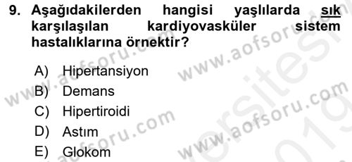 Halk Sağlığı Dersi 2018 - 2019 Yılı (Final) Dönem Sonu Sınav Soruları 9. Soru