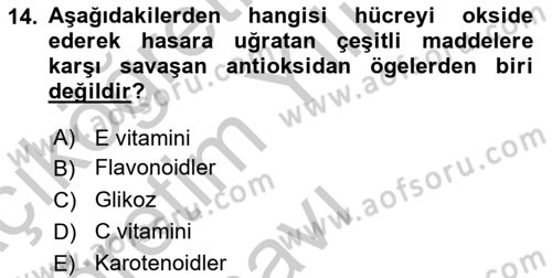 Halk Sağlığı Dersi 2018 - 2019 Yılı Yaz Okulu Sınav Soruları 14. Soru