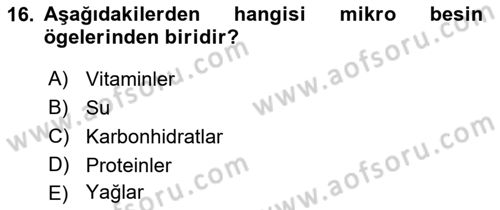 Halk Sağlığı Dersi 2018 - 2019 Yılı Yaz Okulu Sınav Soruları 16. Soru
