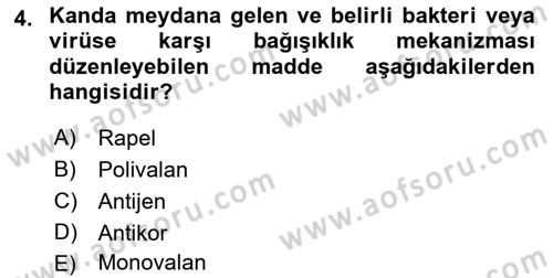 Halk Sağlığı Dersi 2018 - 2019 Yılı Yaz Okulu Sınav Soruları 4. Soru