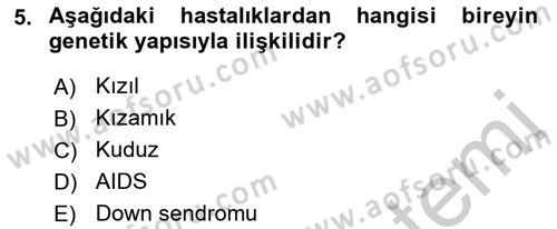 Halk Sağlığı Dersi 2018 - 2019 Yılı Yaz Okulu Sınav Soruları 5. Soru