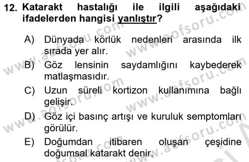 Halk Sağlığı Dersi 2024 - 2025 Yılı (Vize) Ara Sınav Soruları 12. Soru